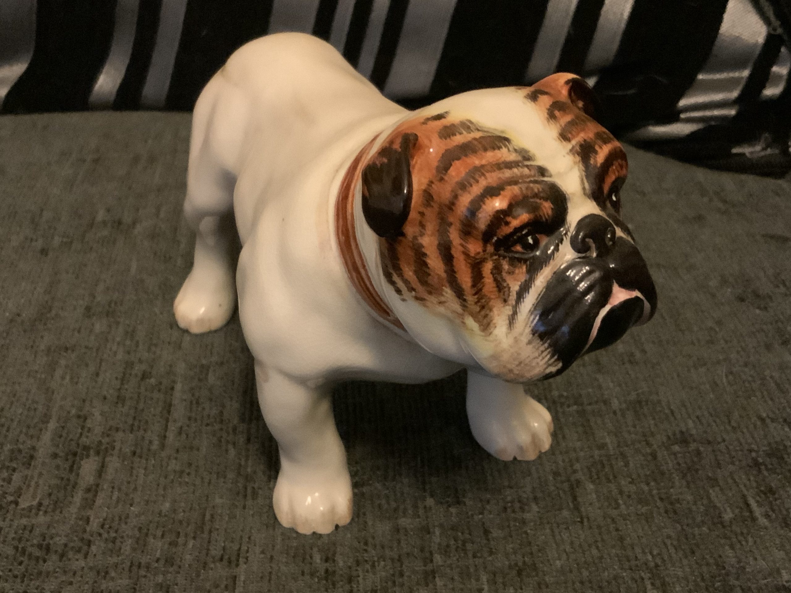 Brindle Bulldogs a beautiful fur patina 2022 48 Brindle Bulldogs a beautiful fur patina