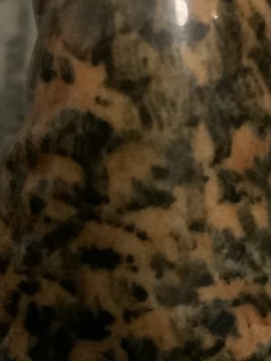 Brindle Bulldogs a beautiful fur patina 2022 31 Brindle Bulldogs a beautiful fur patina