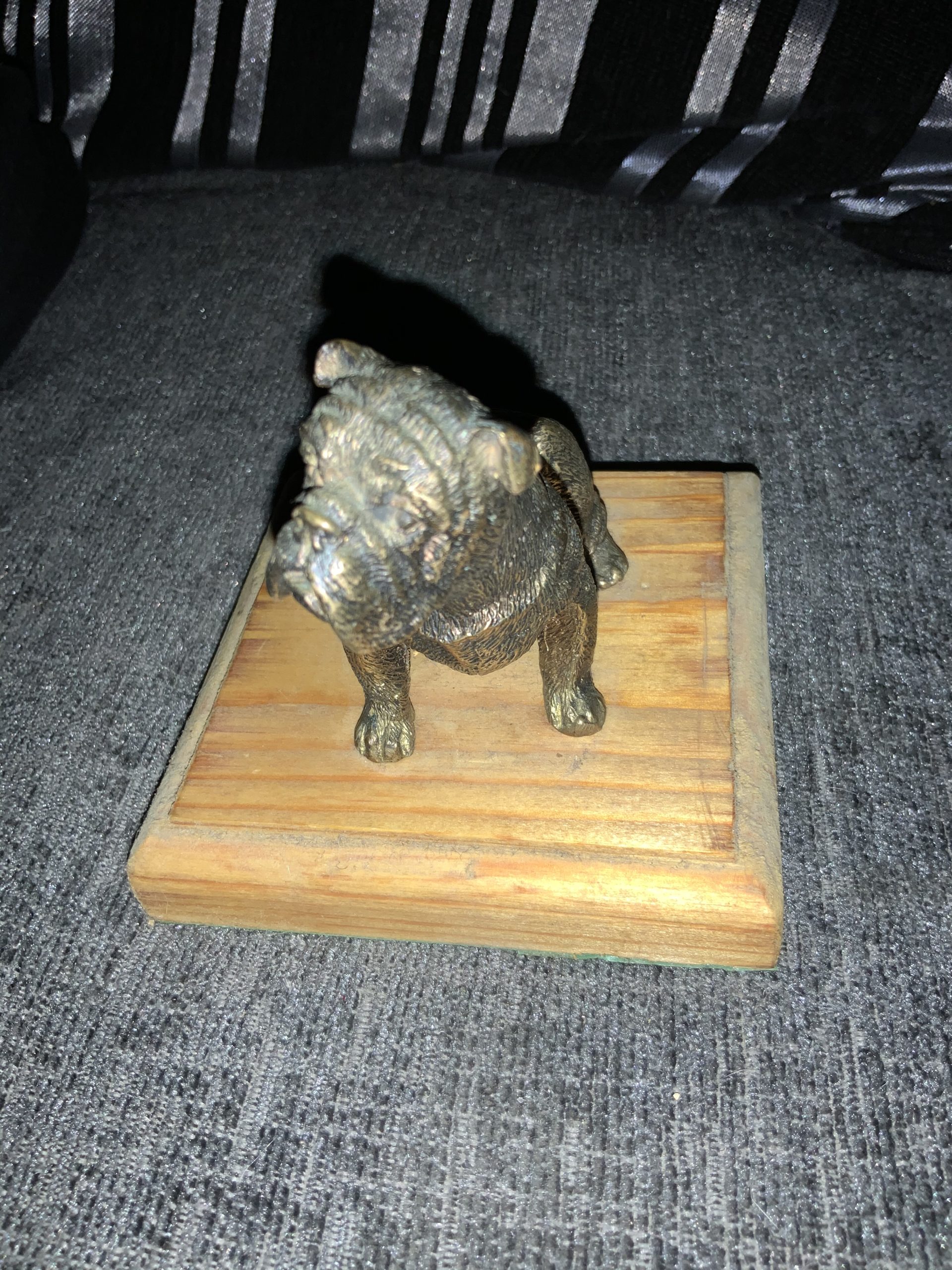 Stay away from Stoned Bulldogs ! Updated 2022 22 Stay away from Stoned Bulldogs !