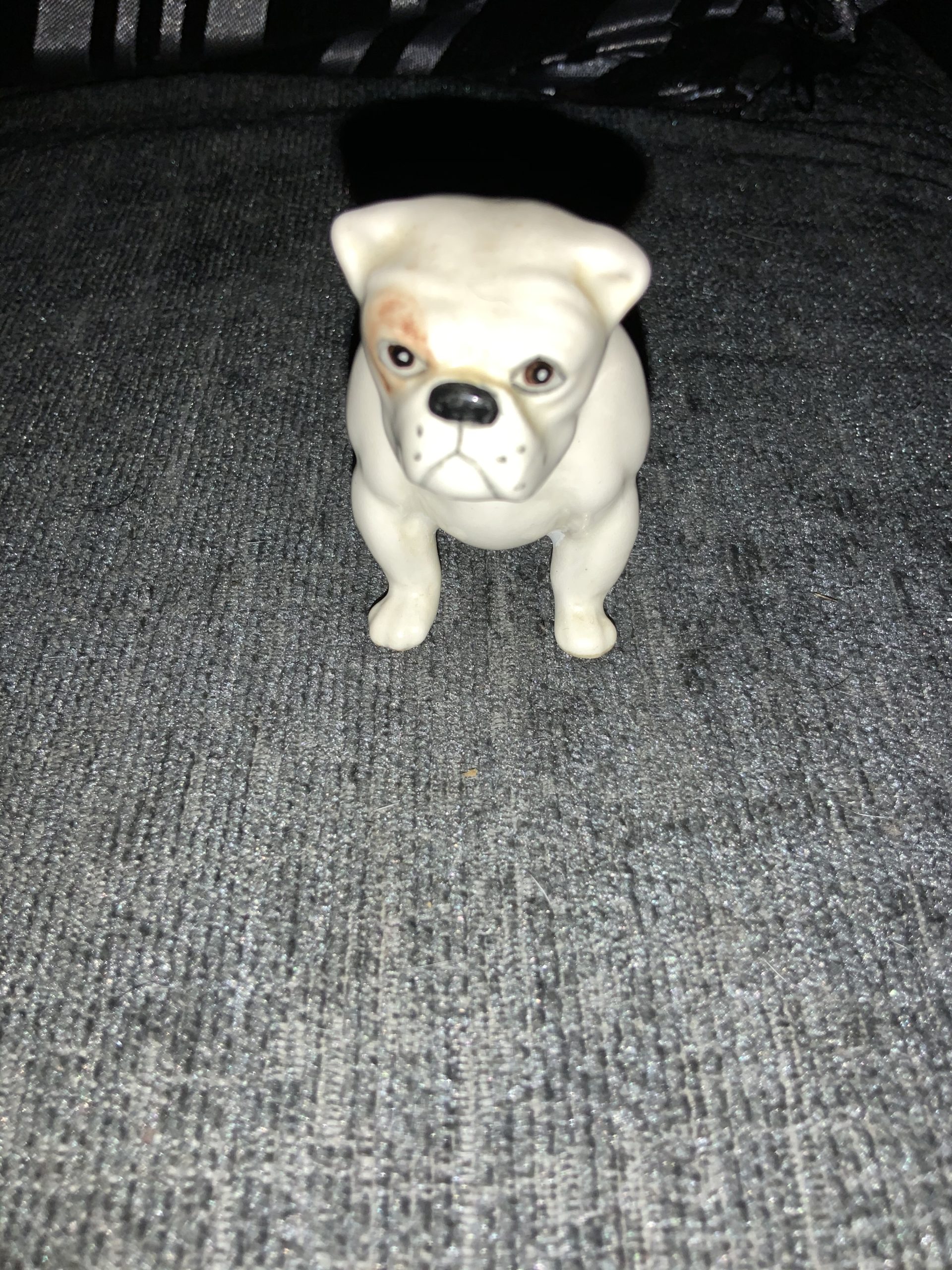 Bulldog statue - orange and white delight 2022 23 Bulldog statue - orange and white delight
