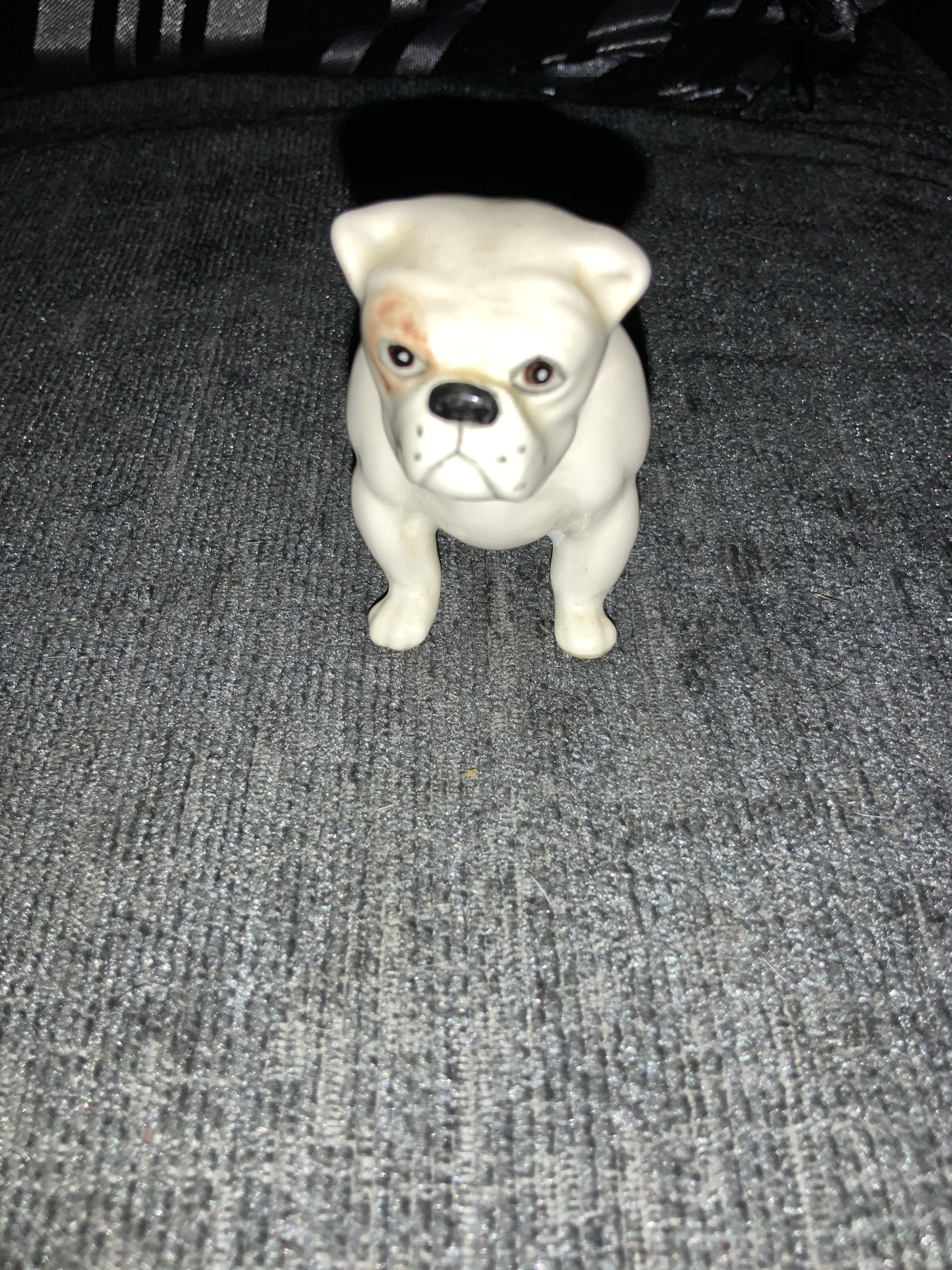 Bulldog statue - orange and white delight 