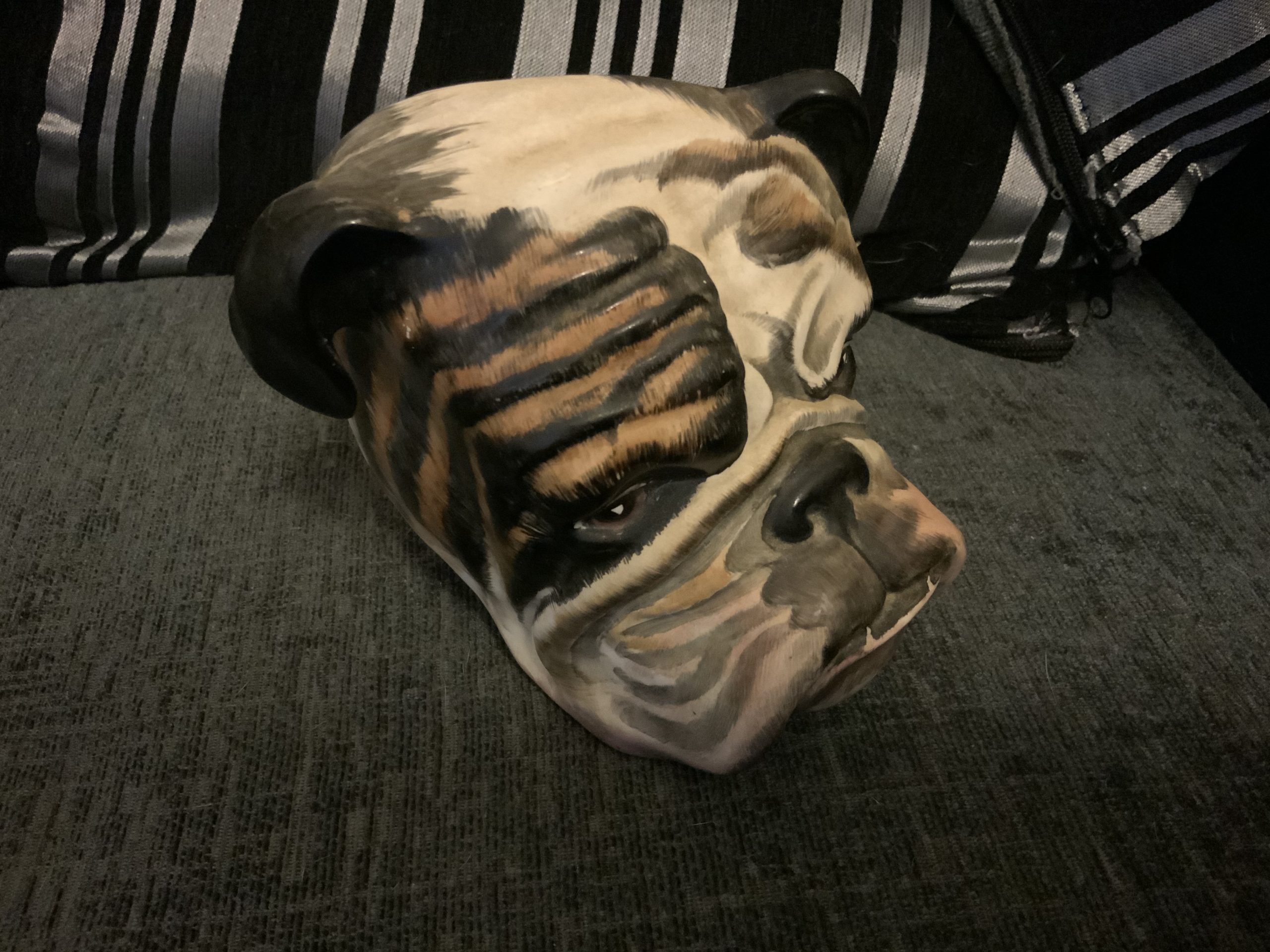 Brindle Bulldogs a beautiful fur patina 2022 36 Brindle Bulldogs a beautiful fur patina