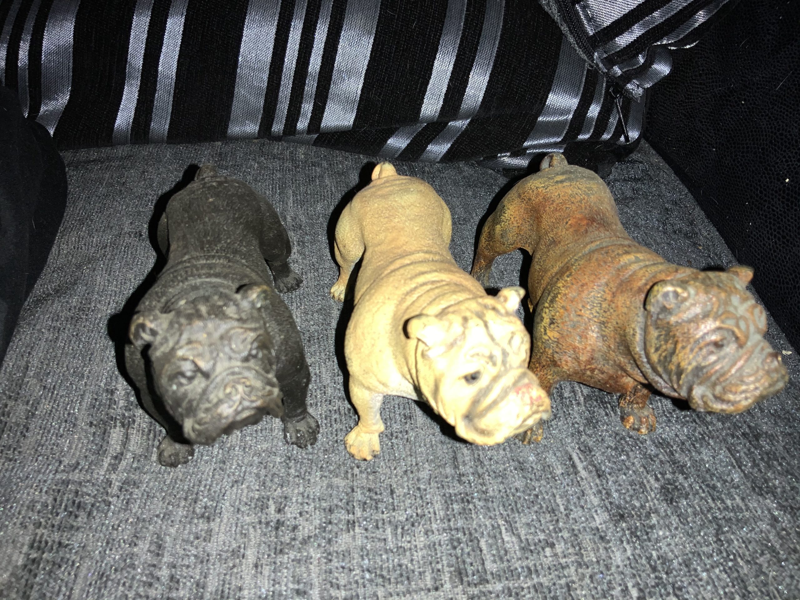 Stay away from Stoned Bulldogs ! Updated 2022 16 Stay away from Stoned Bulldogs !