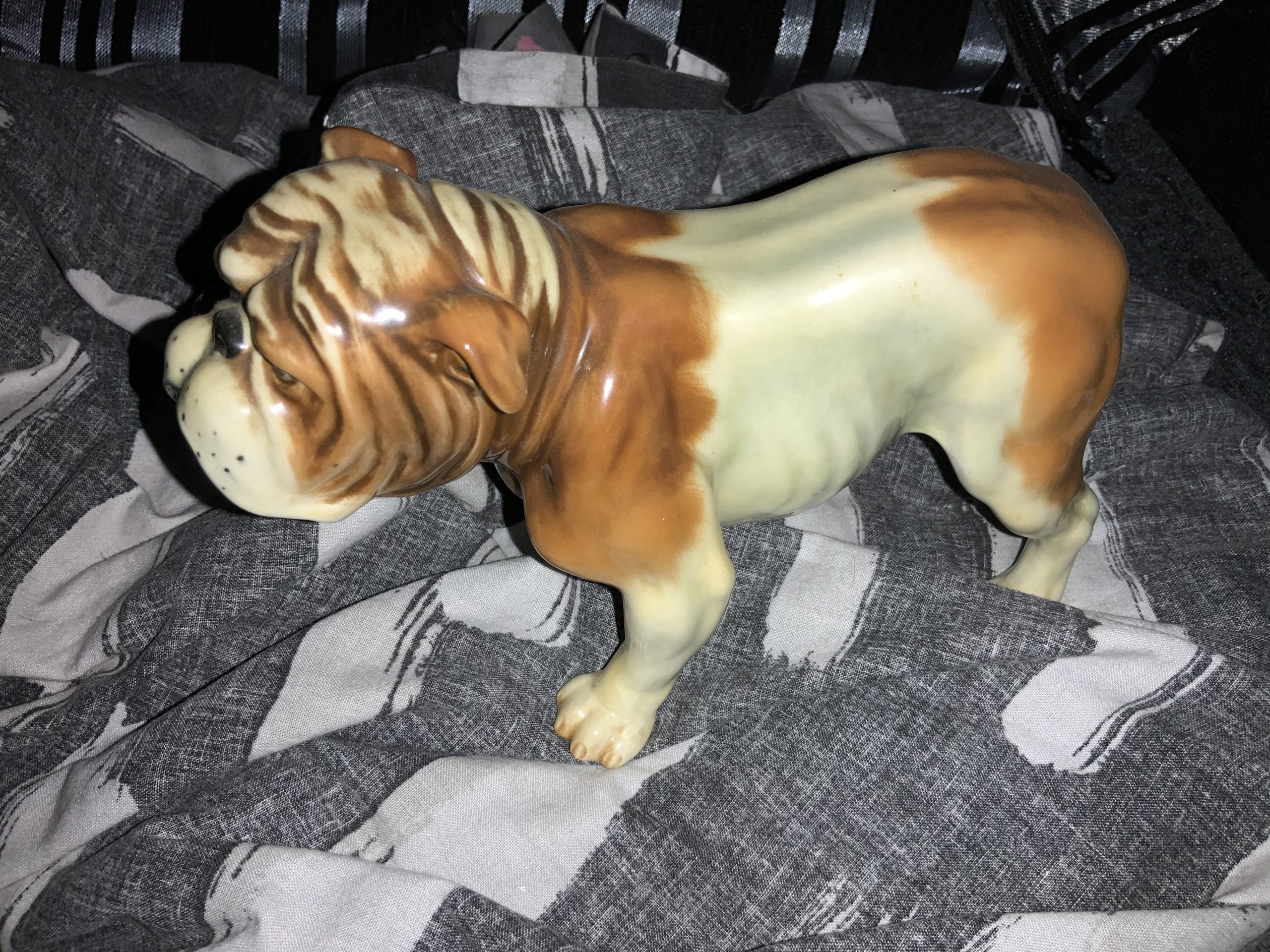 Bulldog statue - orange and white delight 