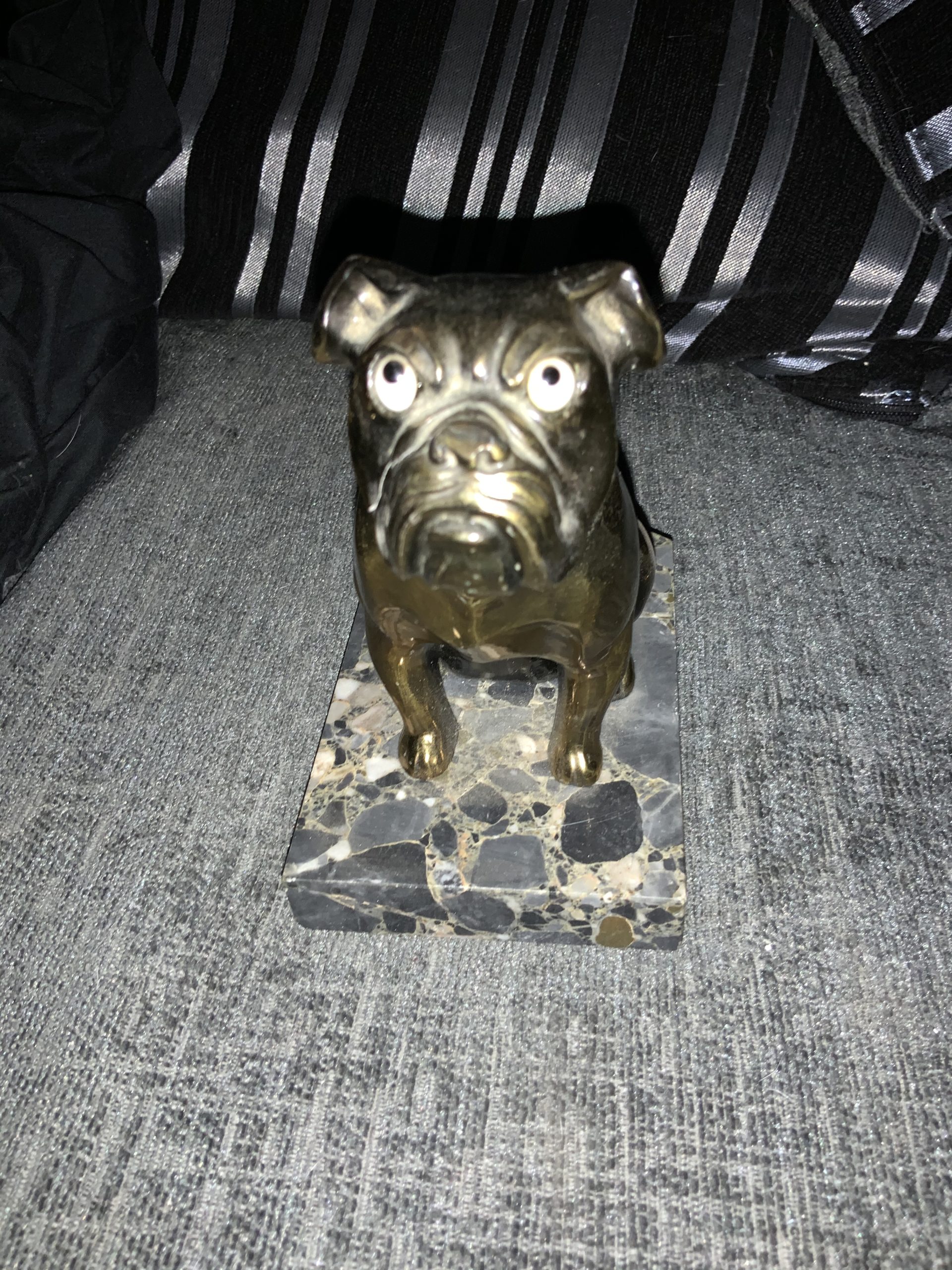 Stay away from Stoned Bulldogs ! Updated 2022 14 Stay away from Stoned Bulldogs !