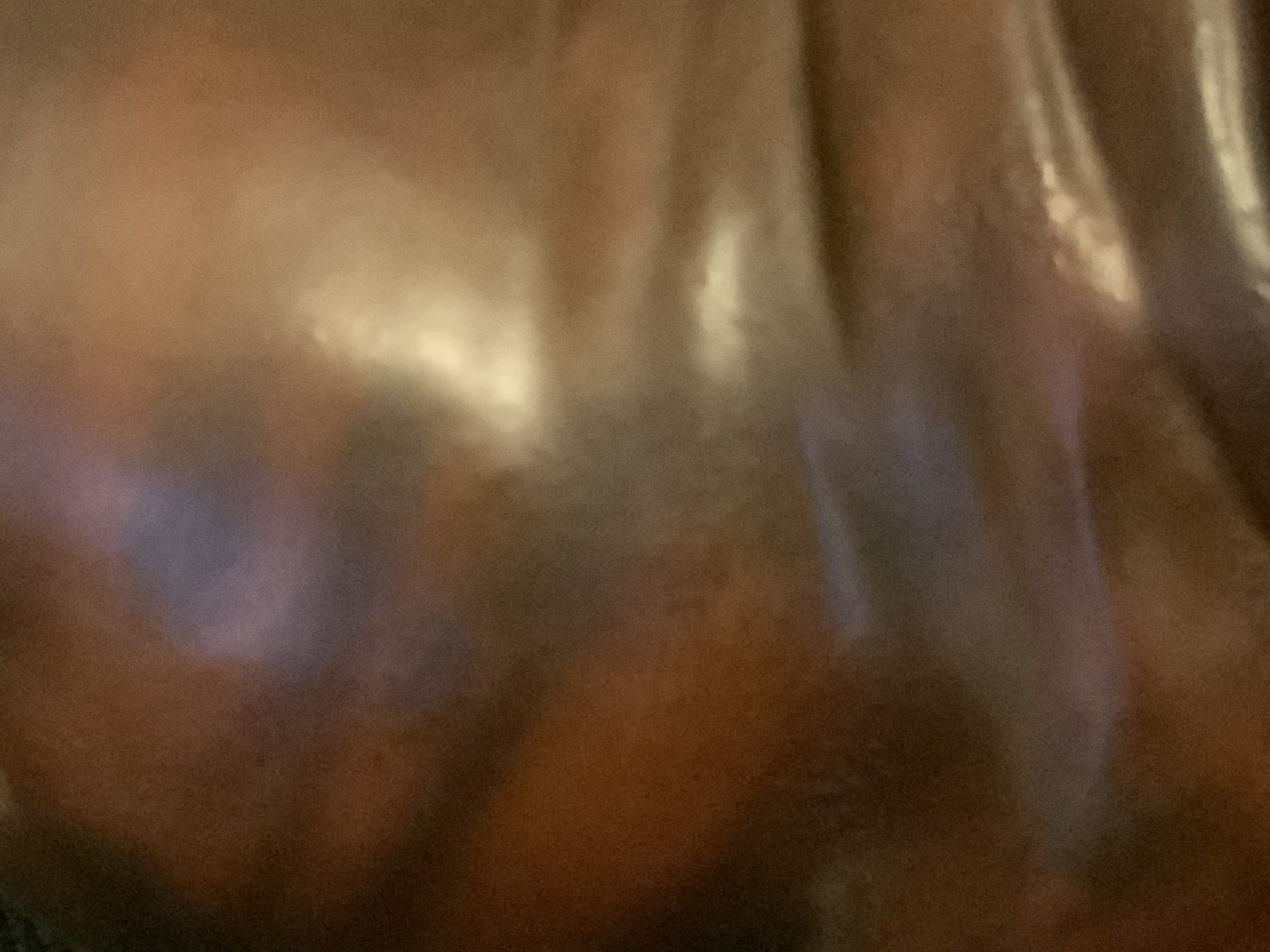 Brindle Bulldogs a beautiful fur patina 2022 50 Brindle Bulldogs a beautiful fur patina
