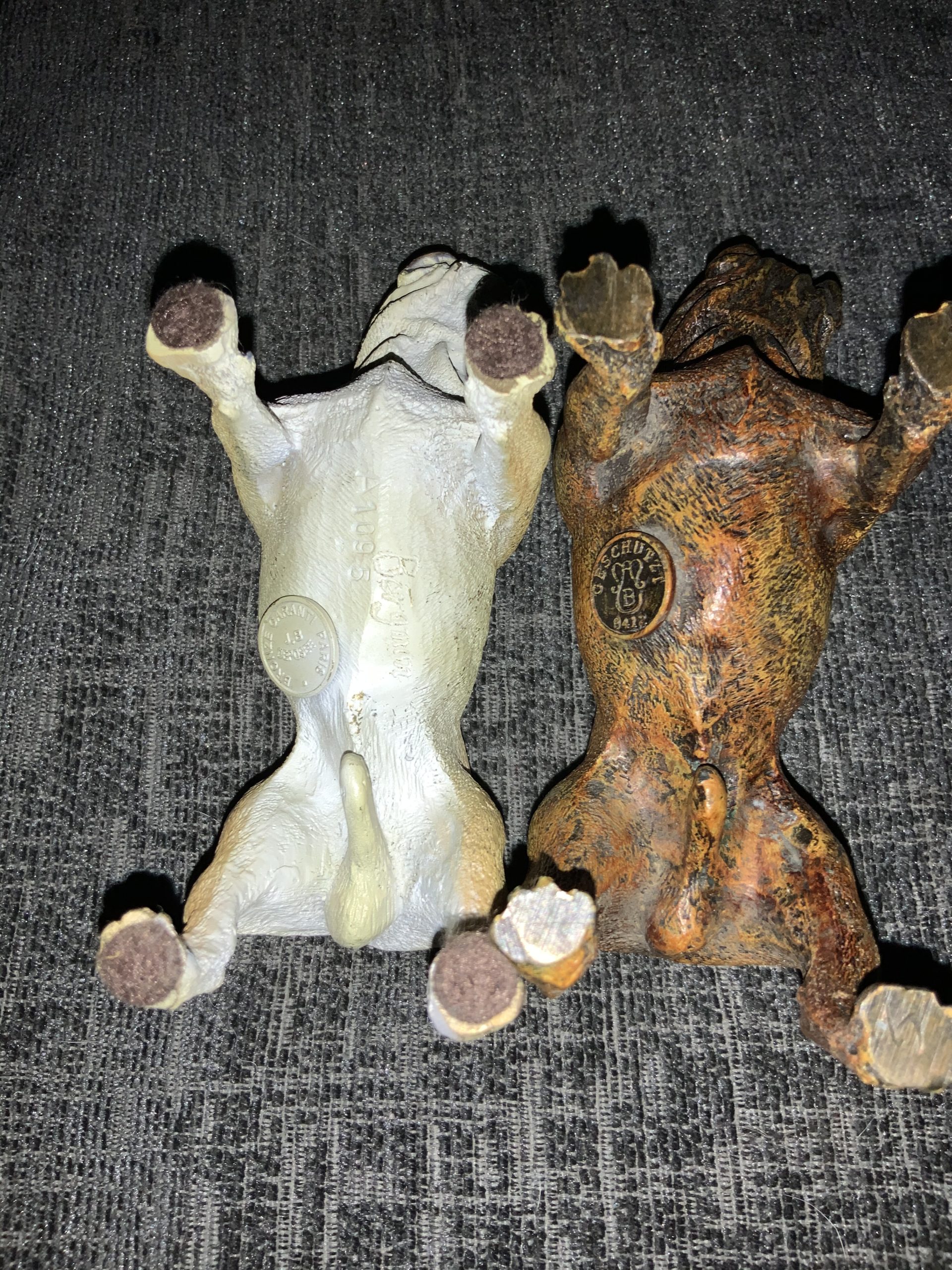Stay away from Stoned Bulldogs ! Updated 2022 15 Stay away from Stoned Bulldogs !