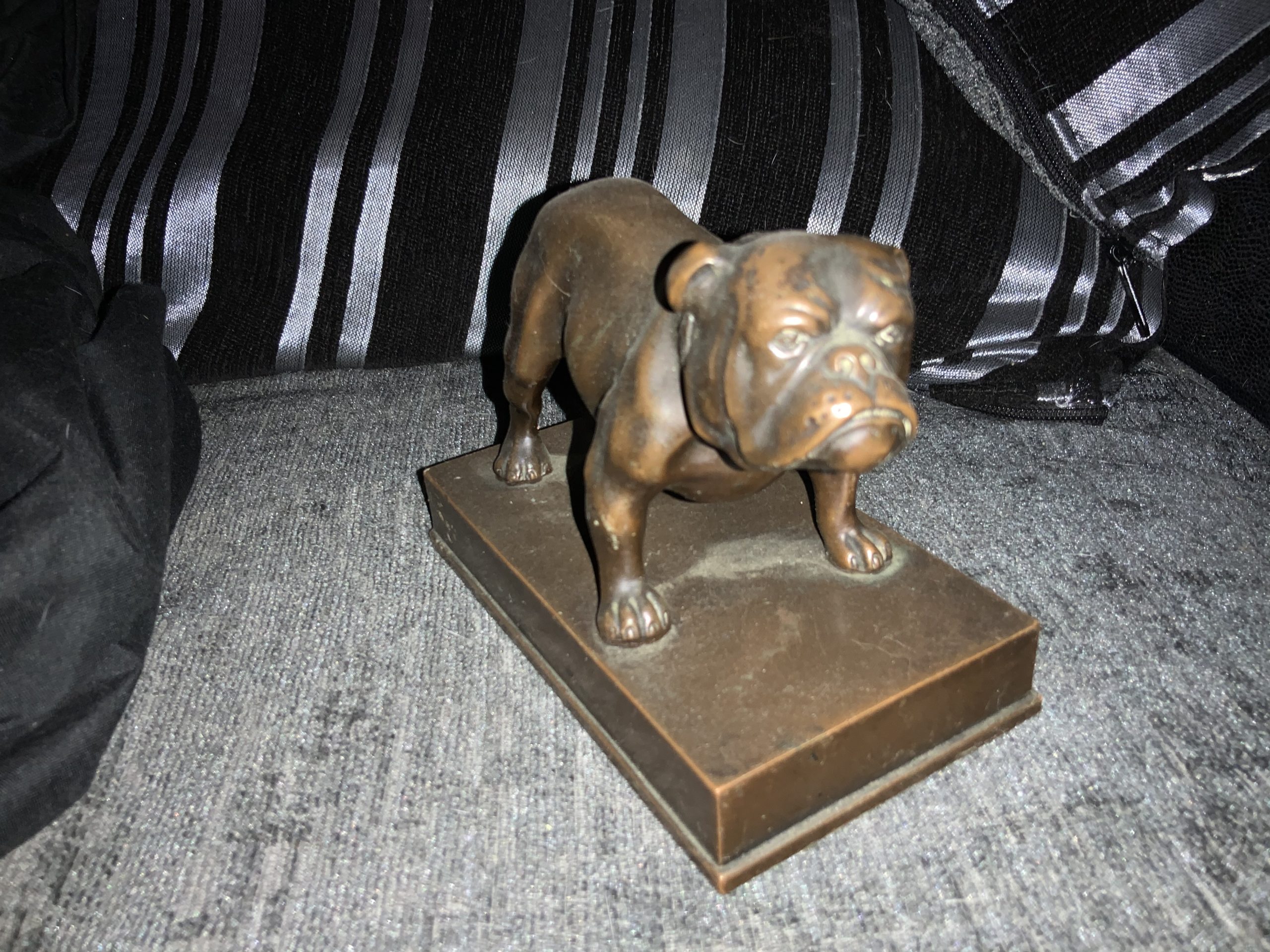 Stay away from Stoned Bulldogs ! Updated 2022 24 Stay away from Stoned Bulldogs !