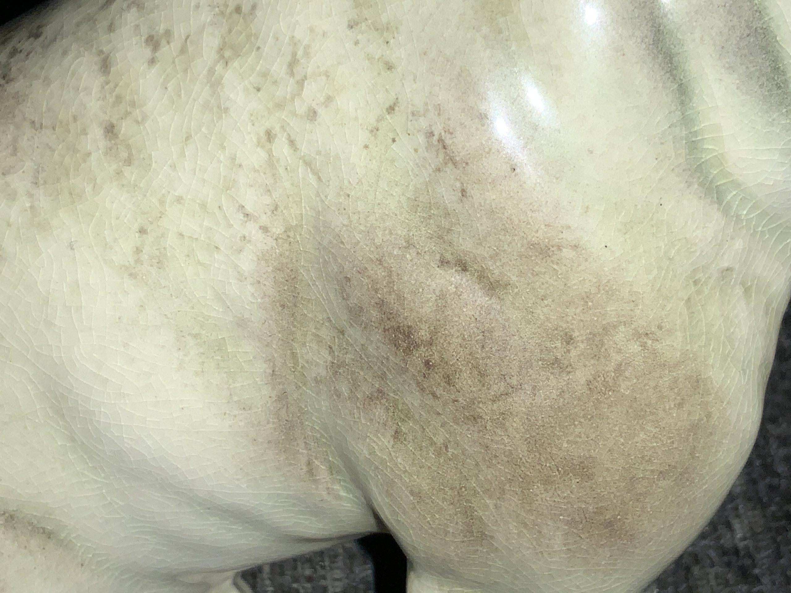Brindle Bulldogs a beautiful fur patina Brindle Bulldogs a beautiful fur patina