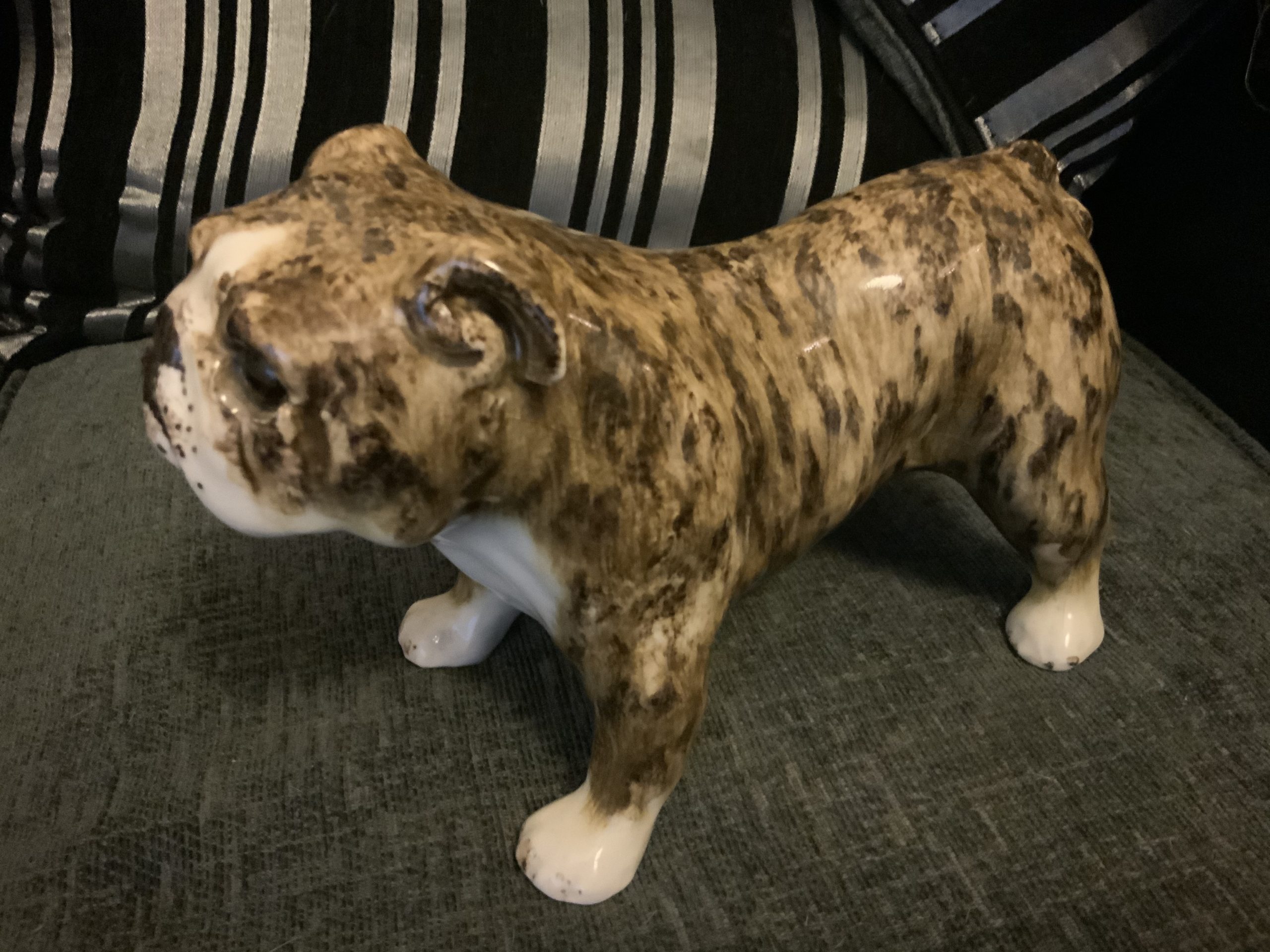 Brindle Bulldogs a beautiful fur patina 2022 51 Brindle Bulldogs a beautiful fur patina