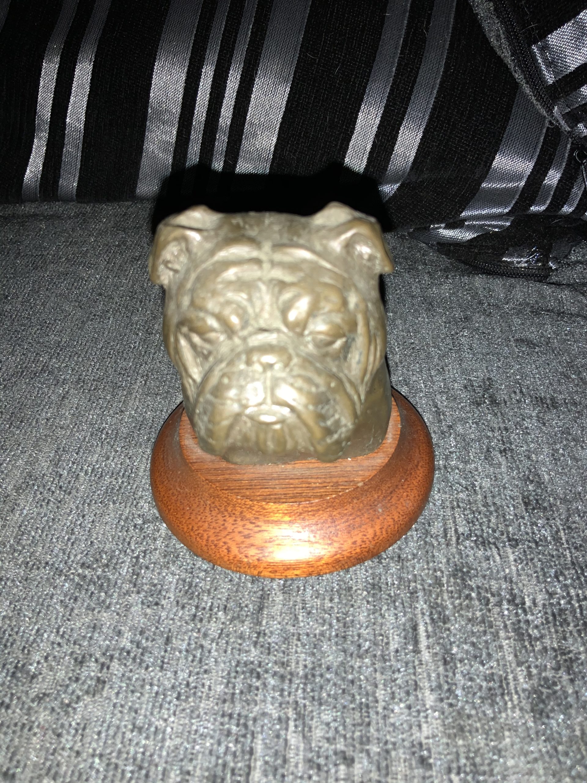 Stay away from Stoned Bulldogs ! Updated 2022 25 Stay away from Stoned Bulldogs !
