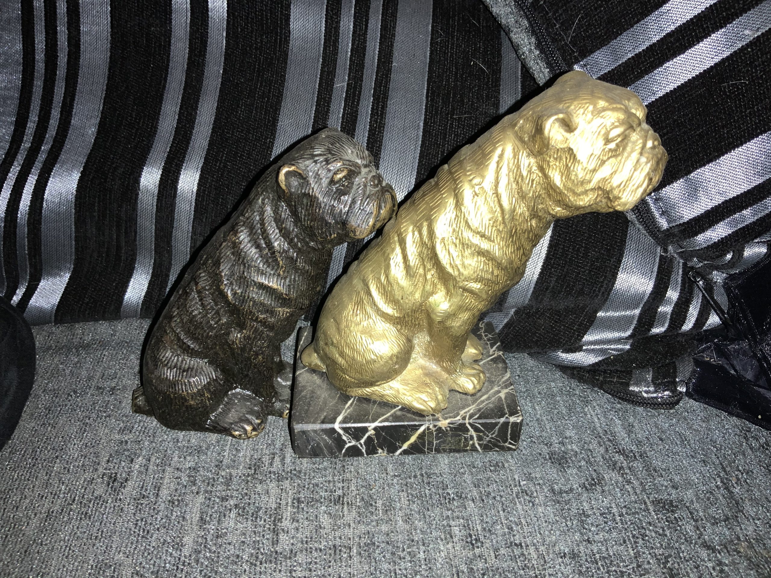 Stay away from Stoned Bulldogs ! Updated 2022 21 Stay away from Stoned Bulldogs !