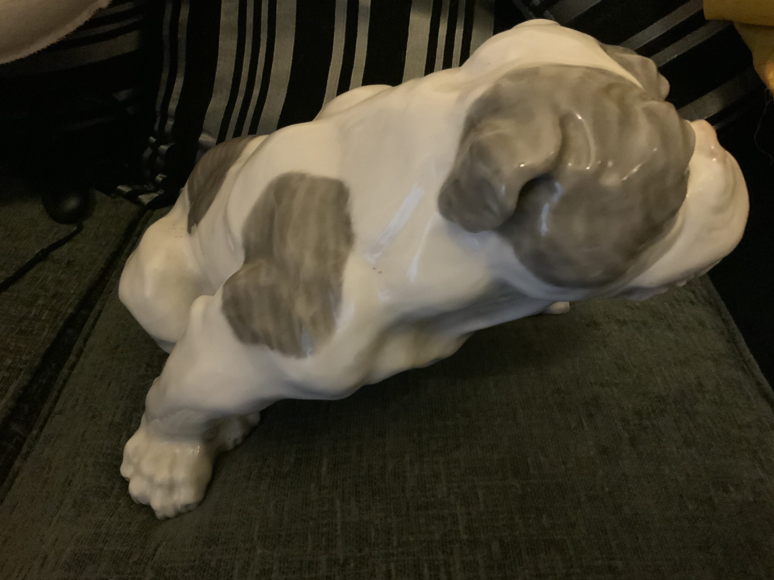 Brindle Bulldogs a beautiful fur patina 2022 38 Brindle Bulldogs a beautiful fur patina