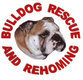 Our Dog charities need your compassion 2022 11 Our Dog charities need your compassion