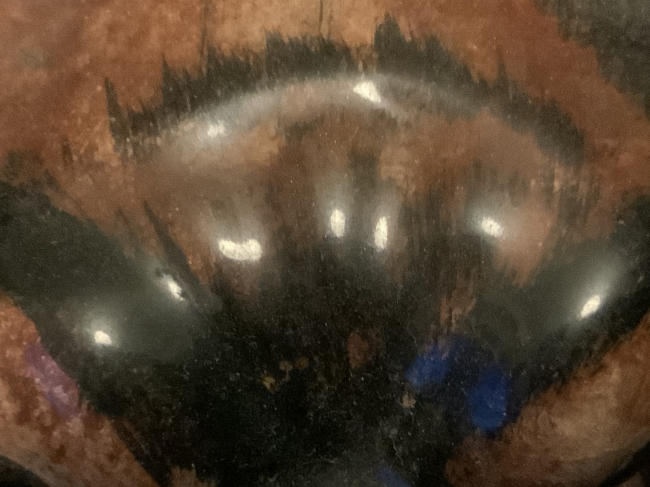 Brindle Bulldogs a beautiful fur patina 2022 44 Brindle Bulldogs a beautiful fur patina