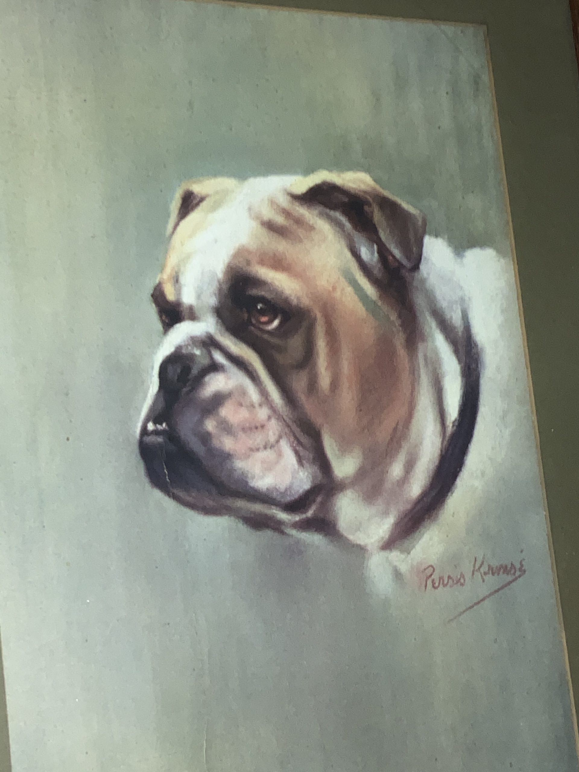 Bulldog statue - orange and white delight 