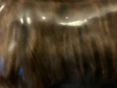 Brindle Bulldogs a beautiful fur patina 2022 29 Brindle Bulldogs a beautiful fur patina