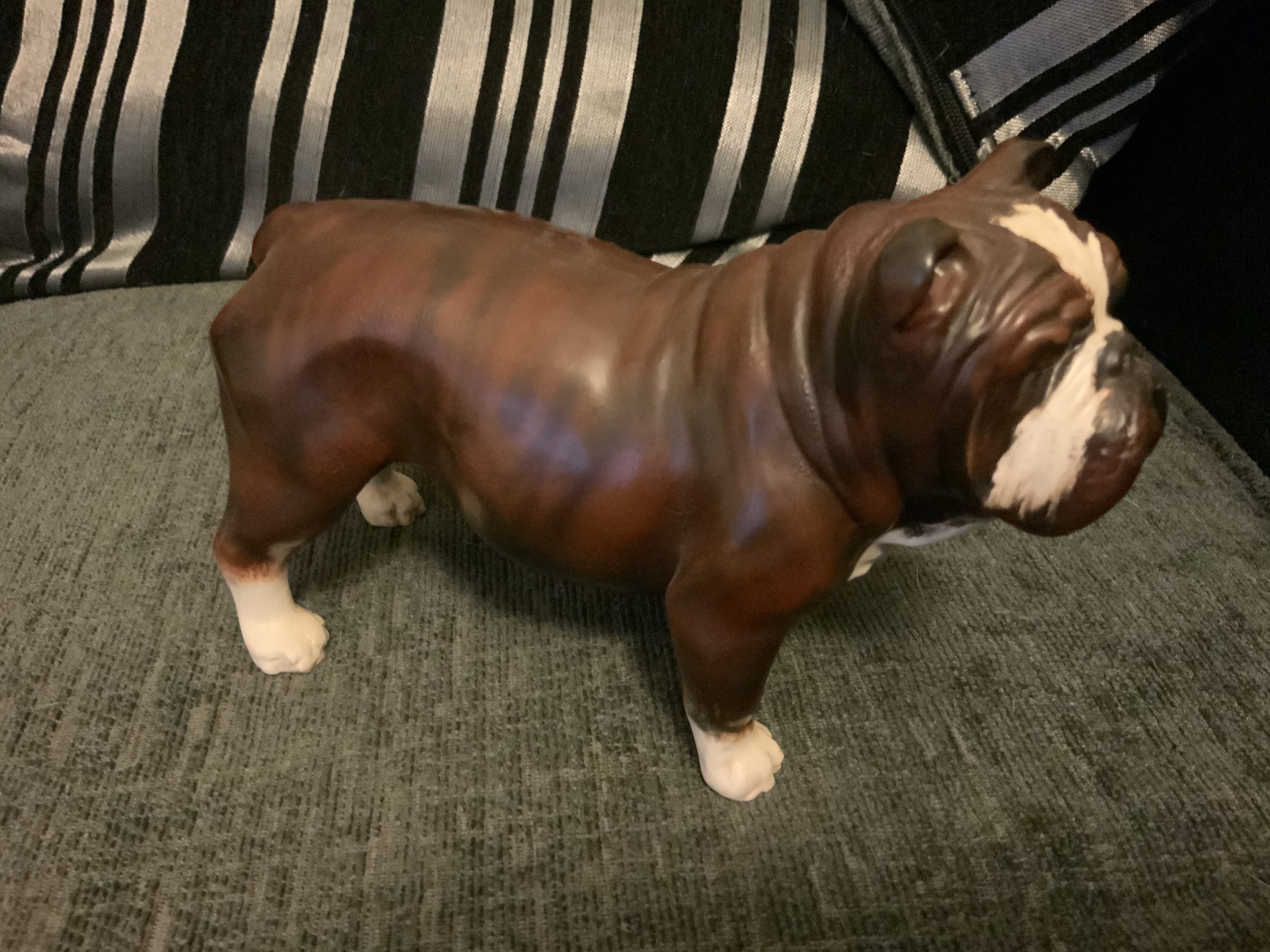Brindle Bulldogs a beautiful fur patina 2022 47 Brindle Bulldogs a beautiful fur patina