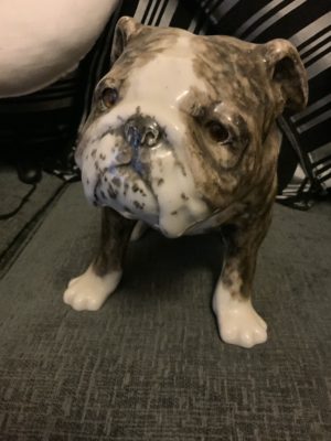 Brindle Bulldogs a beautiful fur patina