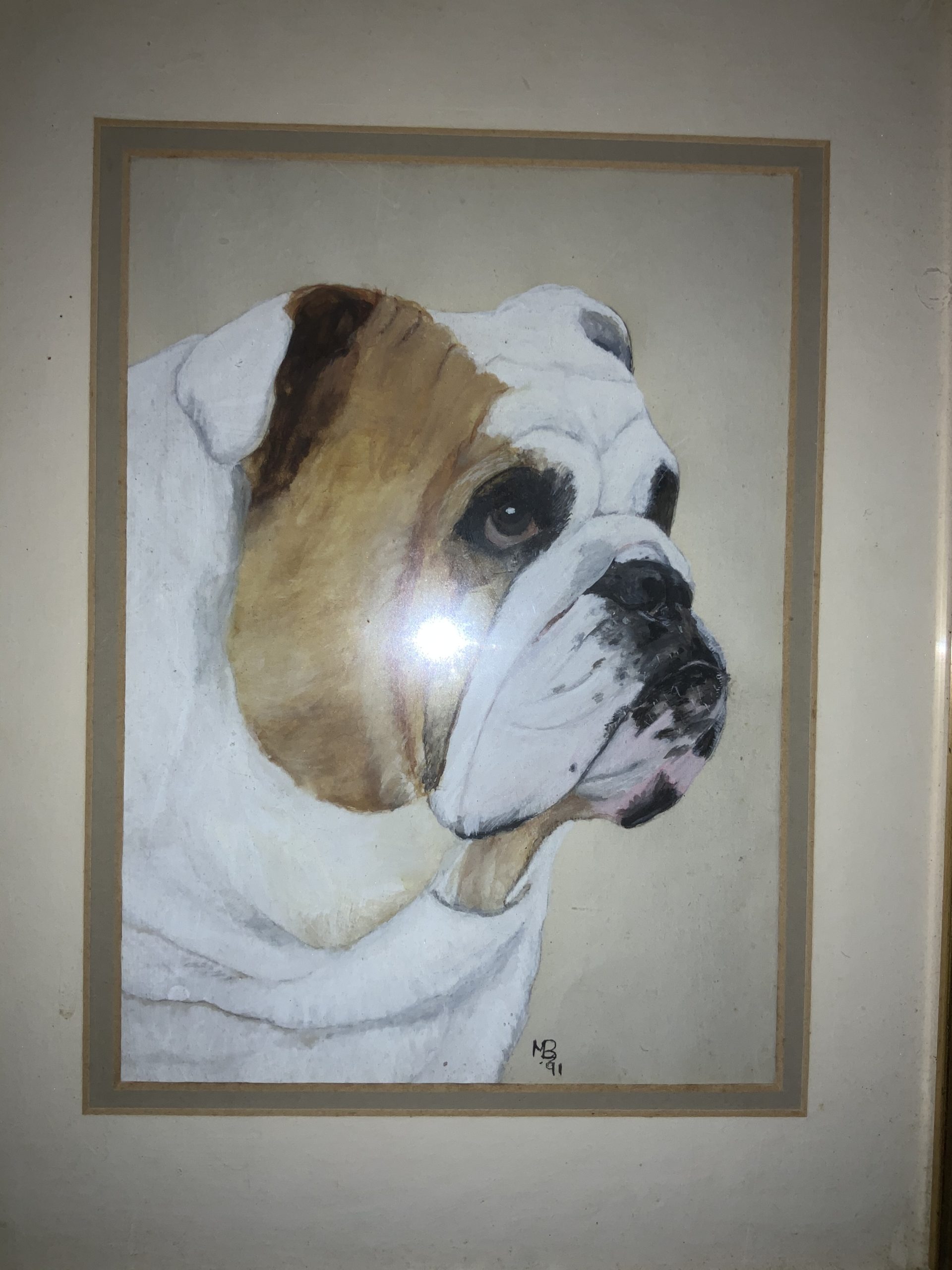 Bulldog statue - orange and white delight 