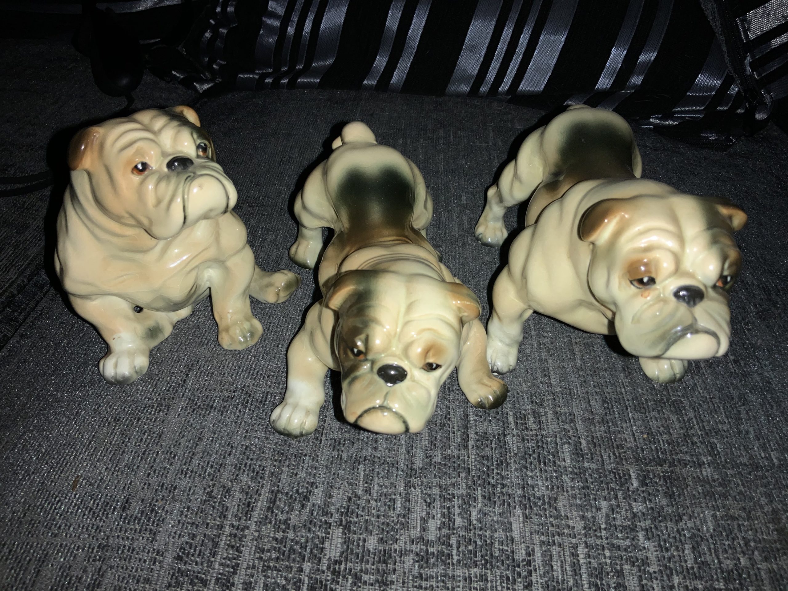 Brindle bulldogs Brindle Bulldogs a beautiful fur patina
