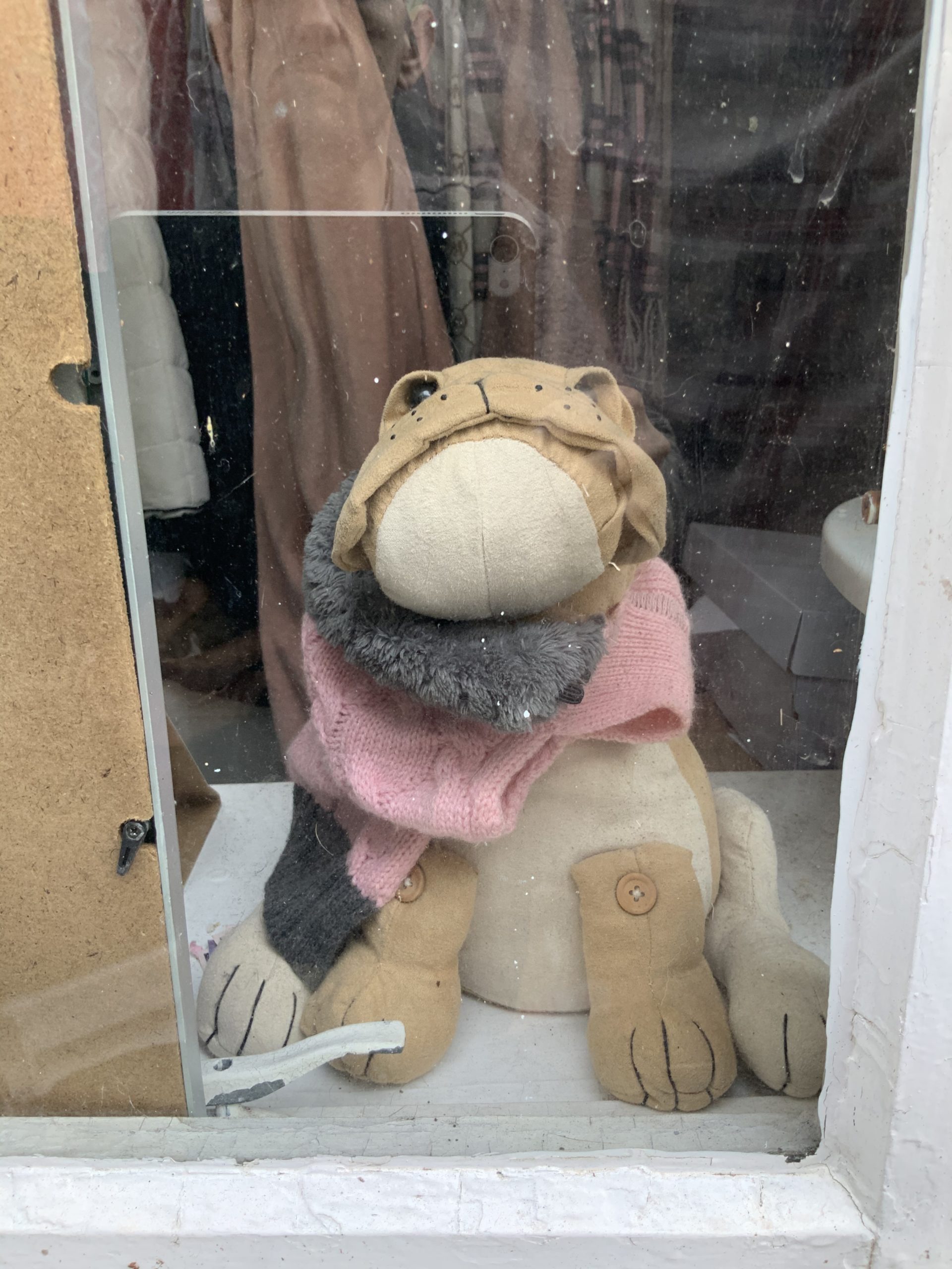 Teddies in the window 