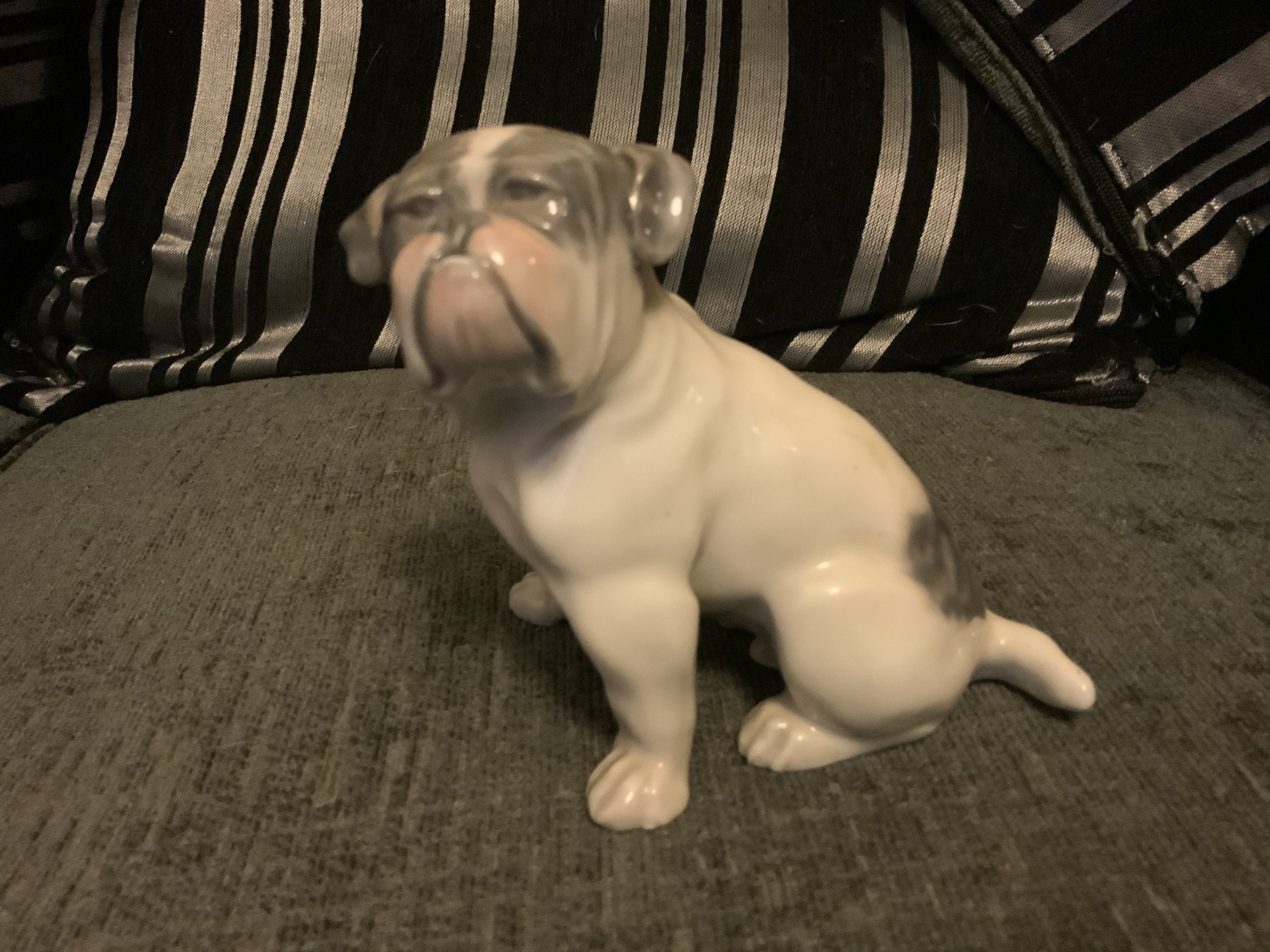 Brindle Bulldogs a beautiful fur patina 2022 40 Brindle bulldogs