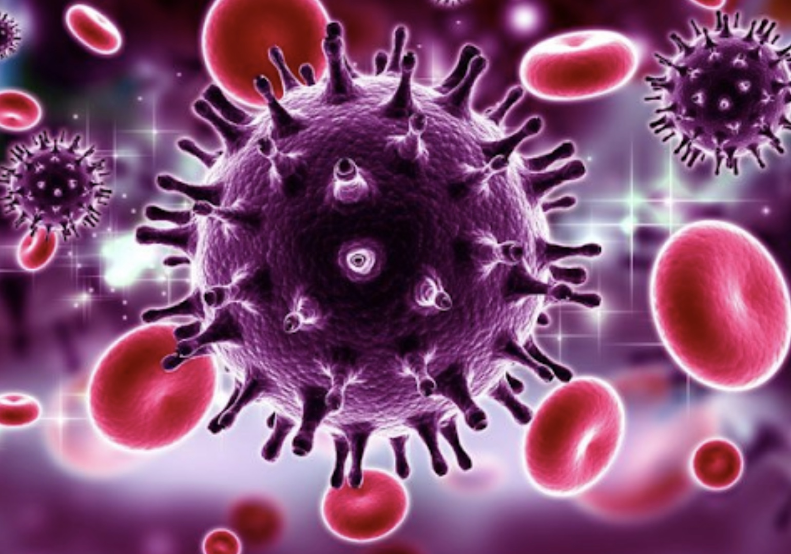 Staying Safe During the COVID-19 Pandemic 7 Staying Safe During the COVID-19 Pandemic