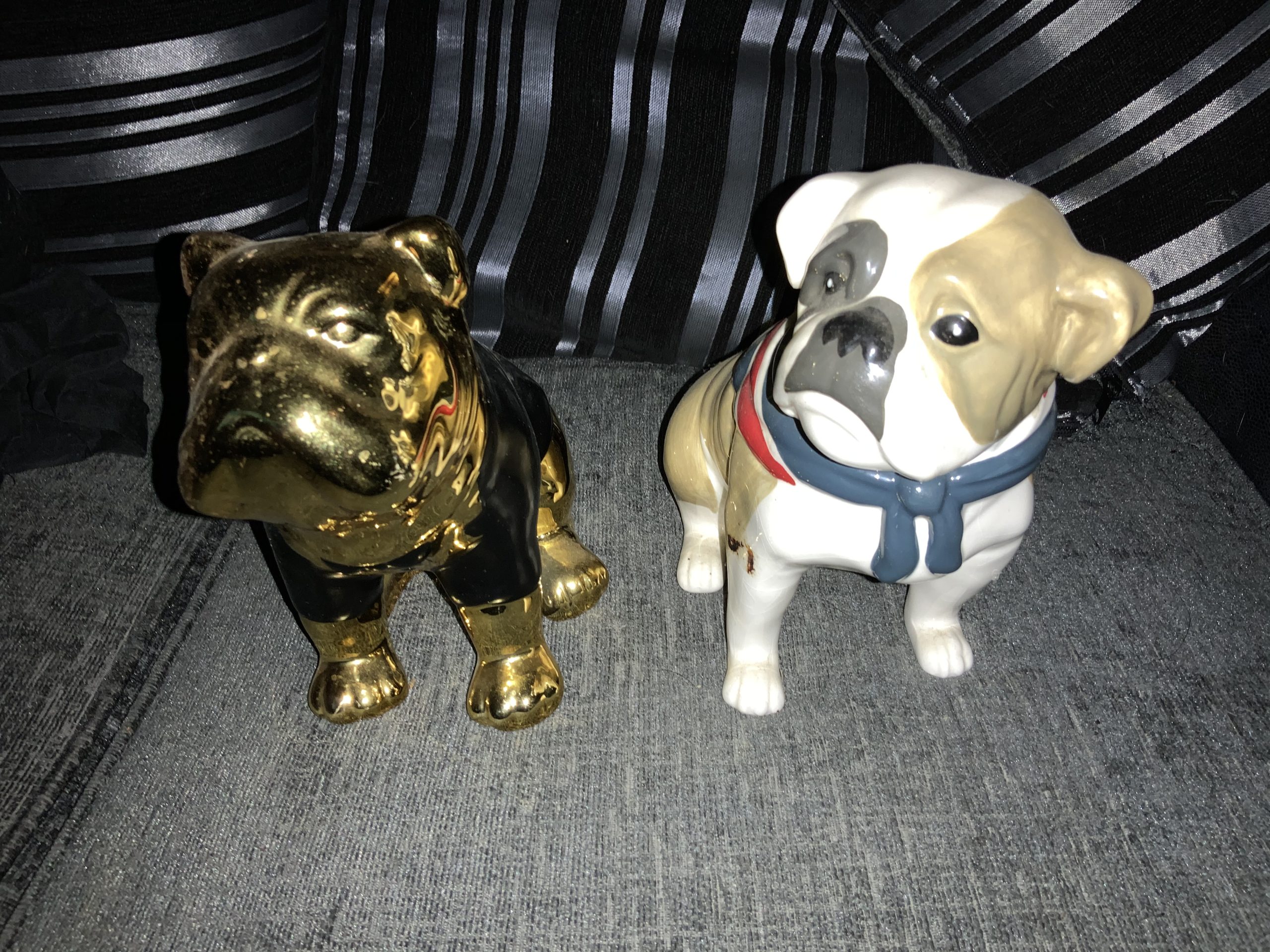 Bulldog money boxes pocket money Holders