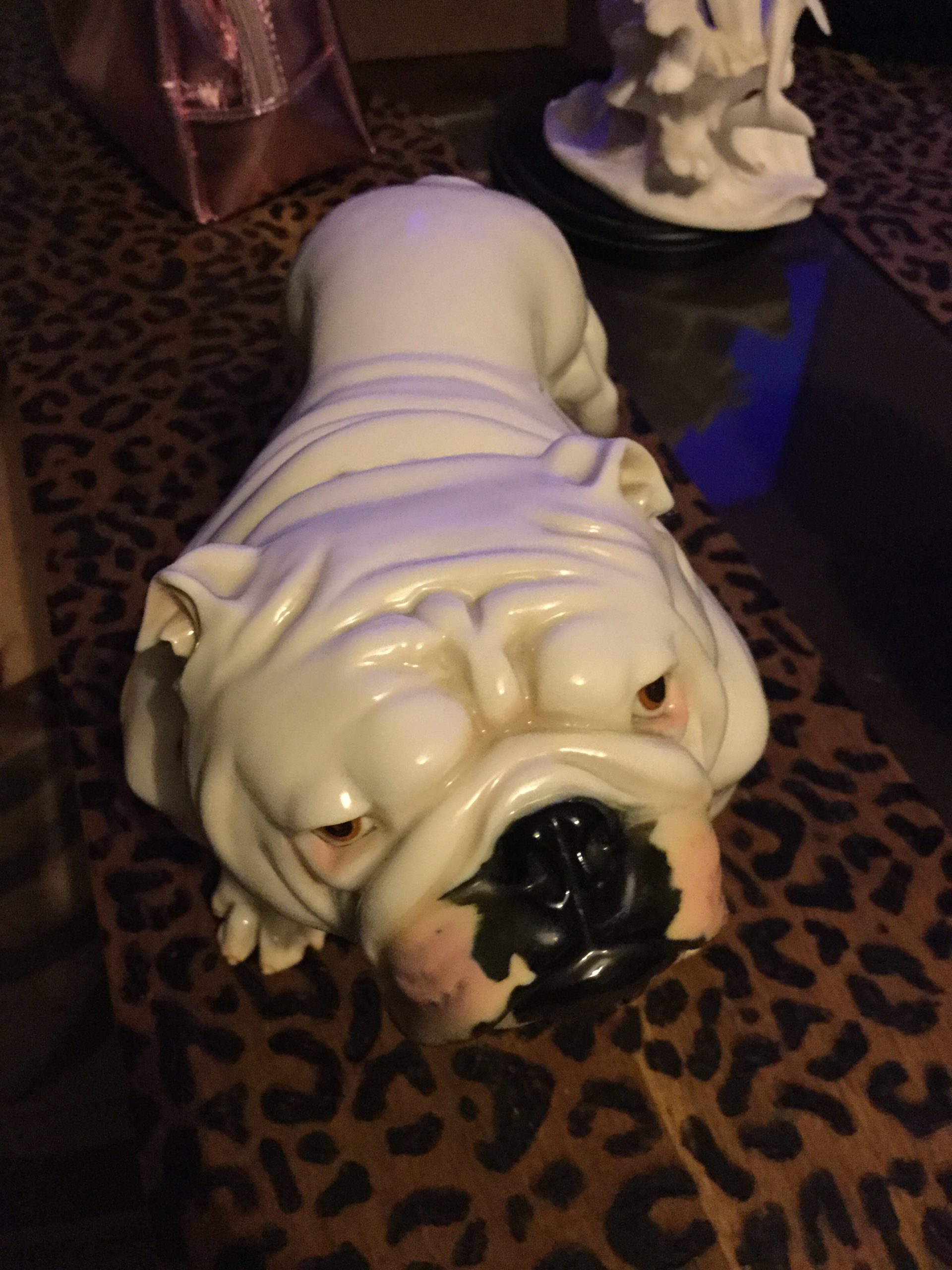 The swap of the year ! Would you do it ? 2022 10 Nymthenburg bulldog