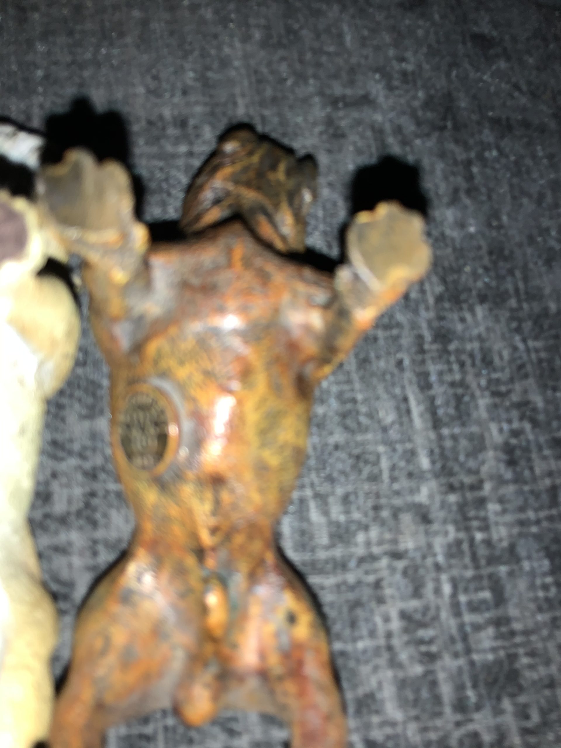 Stay away from Stoned Bulldogs ! Updated 2022 18 Stay away from Stoned Bulldogs !