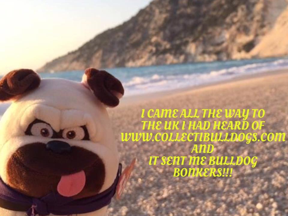 Our Bulldog museum Dream will it ever be ? 2022 7 Our Bulldog museum Dream will it ever be ?