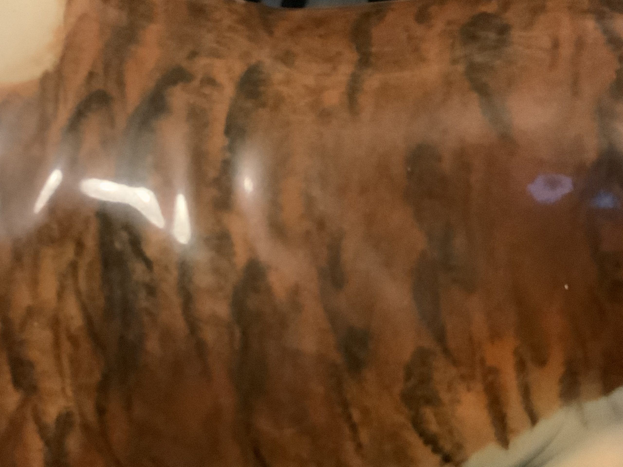 Brindle Bulldogs a beautiful fur patina 2022 33 Brindle Bulldogs a beautiful fur patina