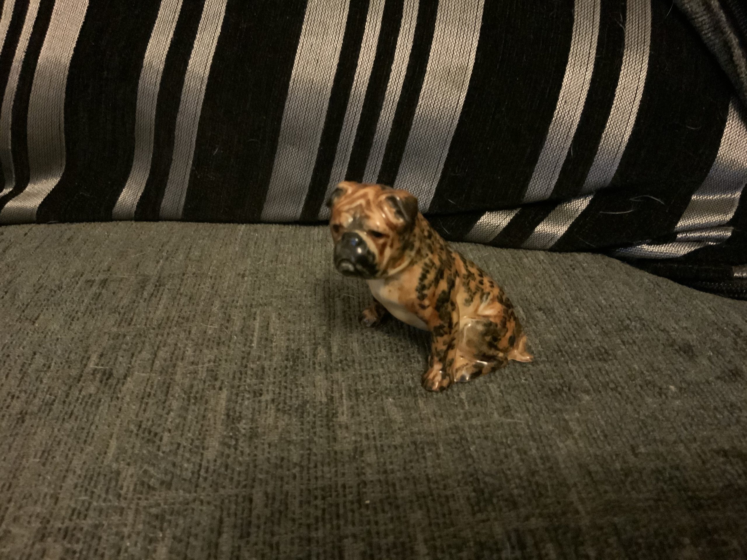 Brindle Bulldogs a beautiful fur patina 2022 30 Brindle Bulldogs a beautiful fur patina