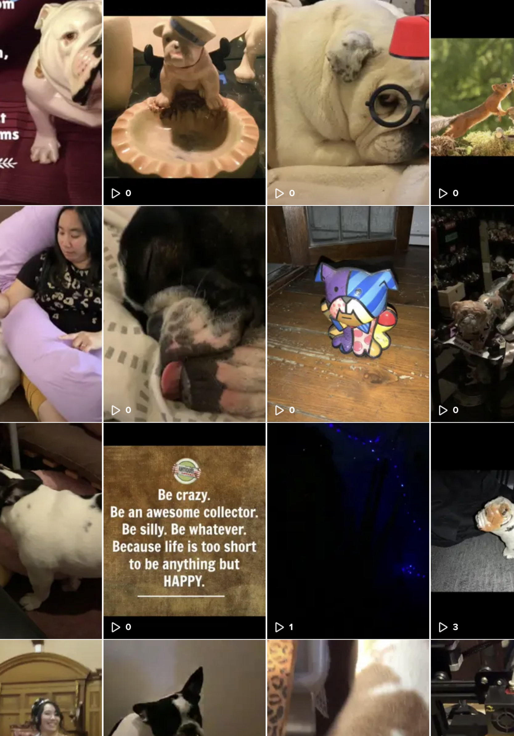 Bulldog collectibles now on TikTok 2022 7 Bulldog collectibles