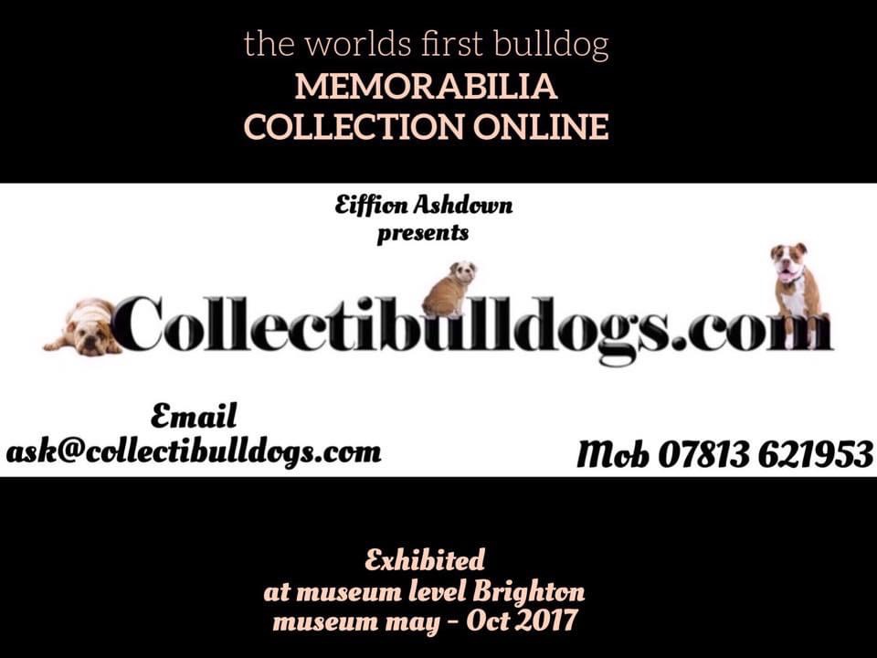 No1 bulldog website Blog subscription service coming soon