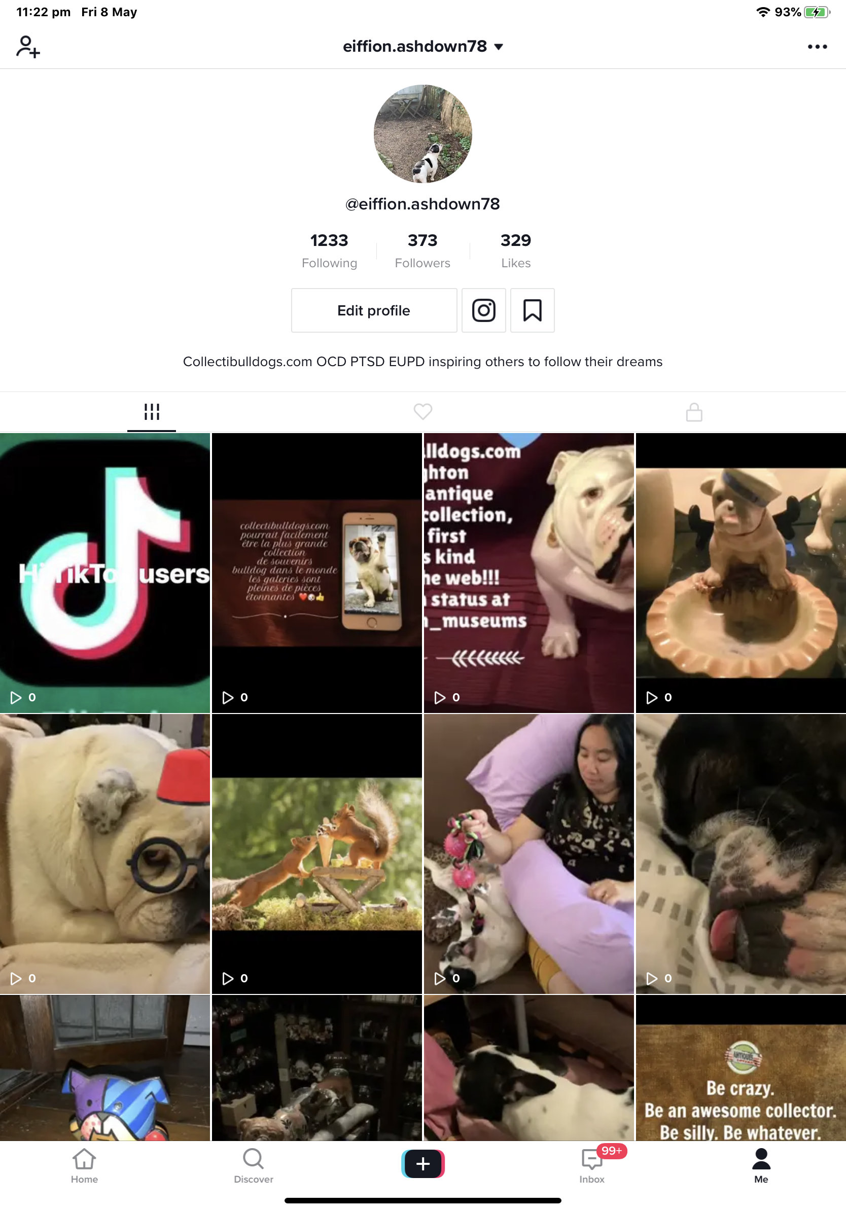 Bulldog collectibles now on TikTok 2022 8 Bulldog collectibles