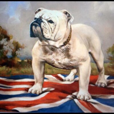 Bulldog antiques museum google mapped 2022 9 Bulldog antiques museum google mapped