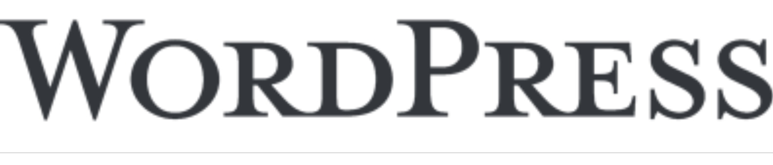 Wordpress users article let’s chat 2022 5 Wordpress users let’s connect