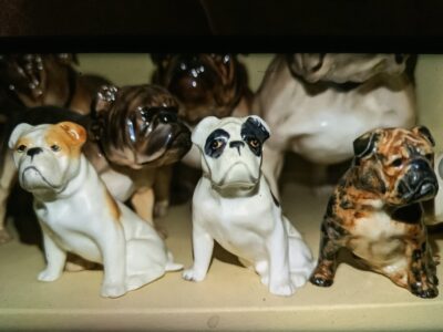 Bulldog antiques collectibles Brighton