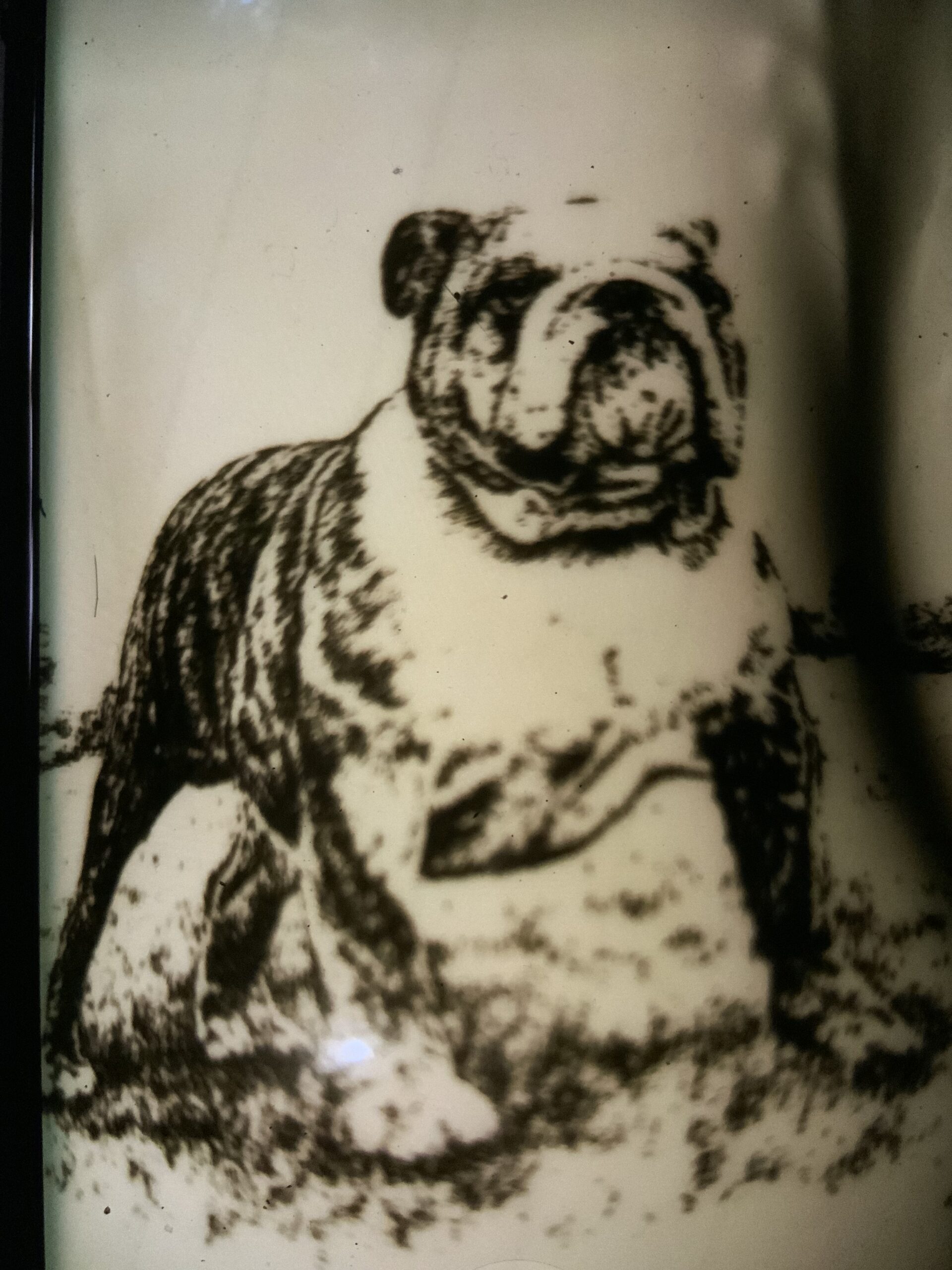 Bulldog antiques Brighton 