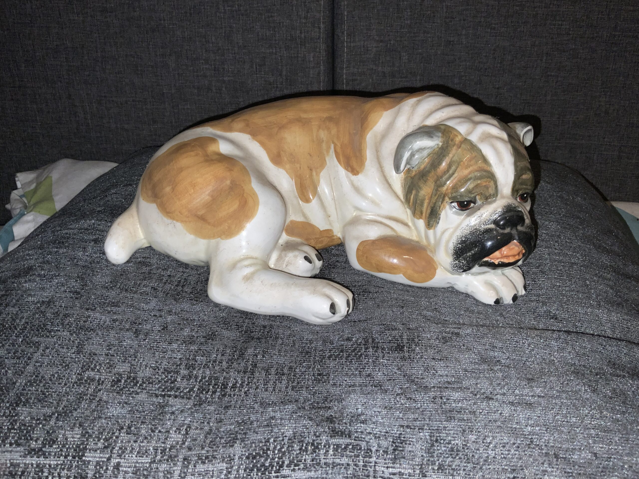 Bulldogs owners have a great week updated 2022 4 Bulldogs owners