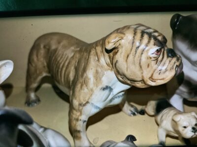 Savvy Bulldog antiques Brighton 2022 21 Bulldog antiques collectibles Brighton