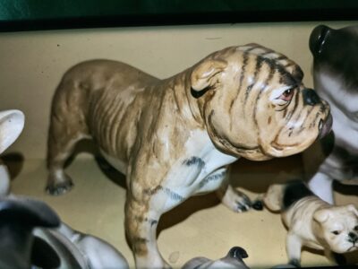 Bulldog antiques collectibles Brighton