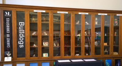Wow amazing blog at Brighton museum 2022 7 Amazing blog our bulldog exhibition in 2017
