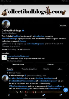 Twitter page for collectibulldogs 