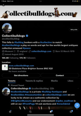 No1 Bulldog website 400 reasons to visit in 2023 2 Twitter page for collectibulldogs