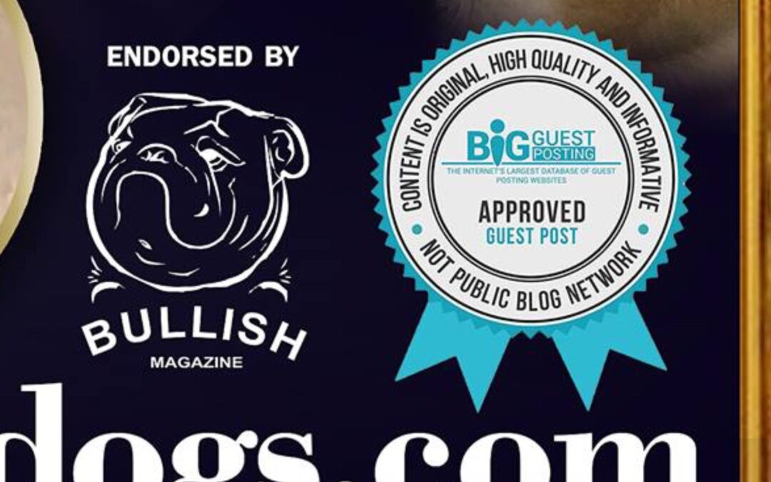 Collectibulldogs our Blog Questions Answered