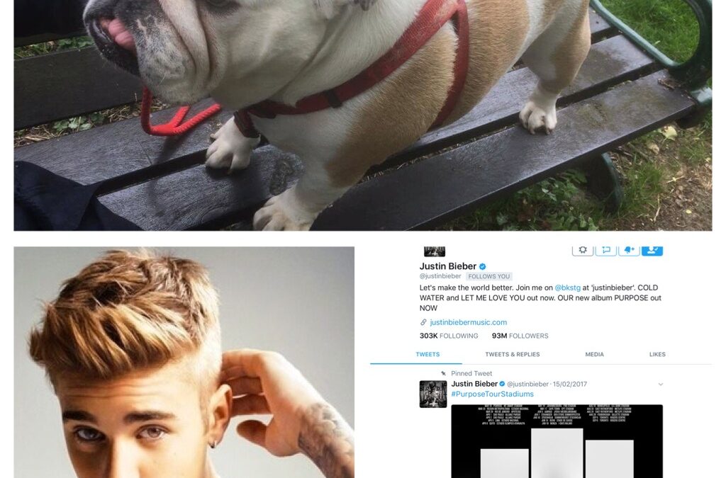 Justin Bieber, follower or bulldog lover