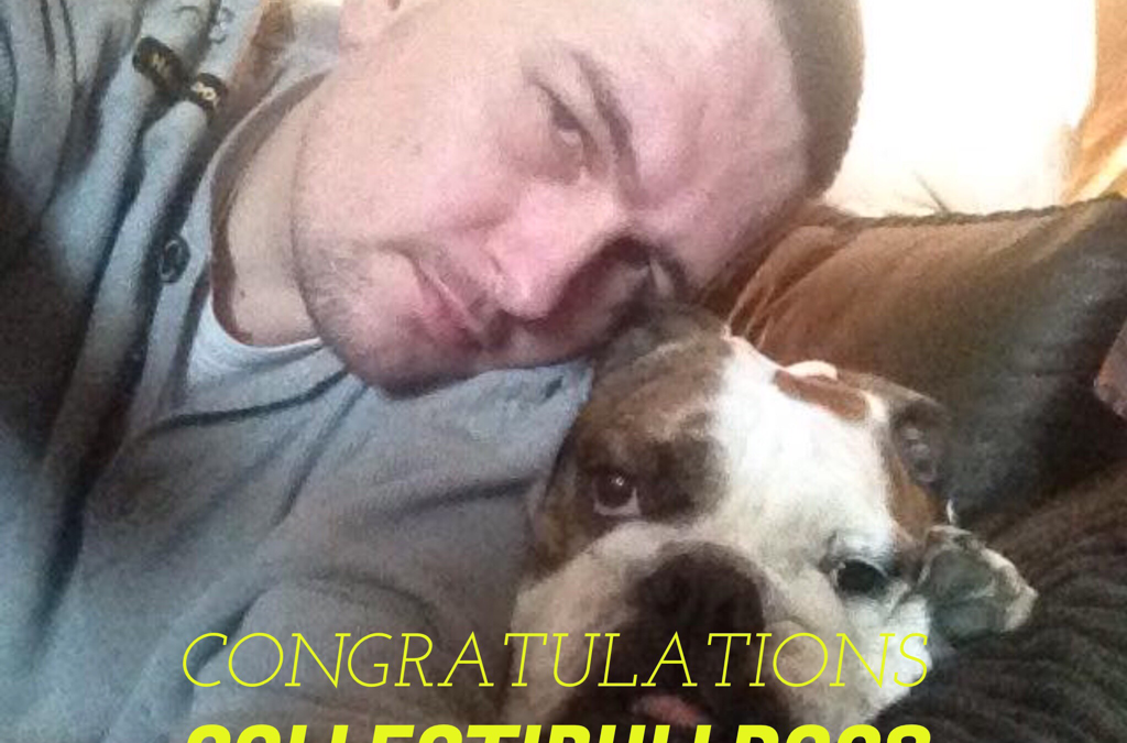 Congratulations to collectibulldogs  1st sept 2016